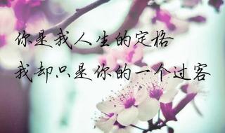 一生回忆有你就足够 一生回忆有你就足够