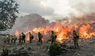 关于爱情的感人电影 关于爱情的感人电影