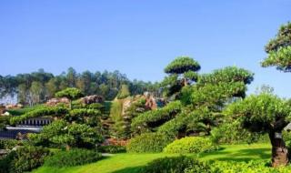 厦门园博园门票 厦门园博园门票