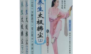 吴阿敏太极拂尘 吴阿敏太极拂尘