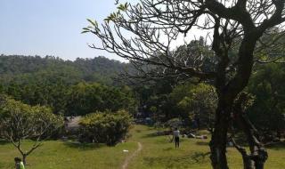 大夫山森林公园门票