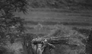 一念情深再念成殇 一念情深再念成殇