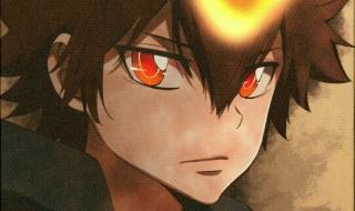 十年后的沢田纲吉 十年后的沢田纲吉