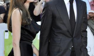 朱莉和皮特演的电影