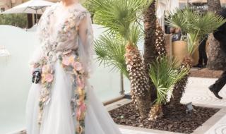 谢晋影视艺术学院