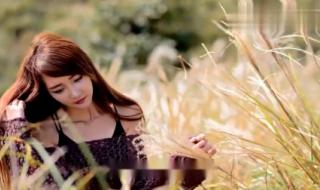 我的眼泪为谁飞歌词 我的眼泪为谁飞歌词