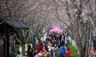 瘦西湖景区管委会